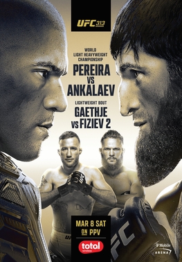 UFC_313_poster.jpg